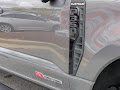 2025 Ford F-350SD Platinum